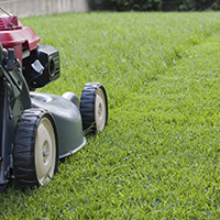 Lawn Mowing