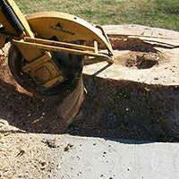 Stump Grinding